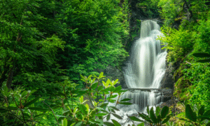 Joe Brady: The 10 Photoshop Techniques Every Photographer Needs