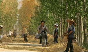 Sunday at MAPV 2025: Inspiration and Learning Continue!