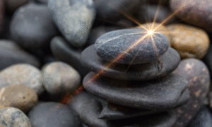 Sheila Guevin: Macro Photography – Beyond Blooms & Bugs