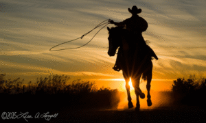 Lisa Langell: The Art of Connection – Building Emotional Depth Through Photography