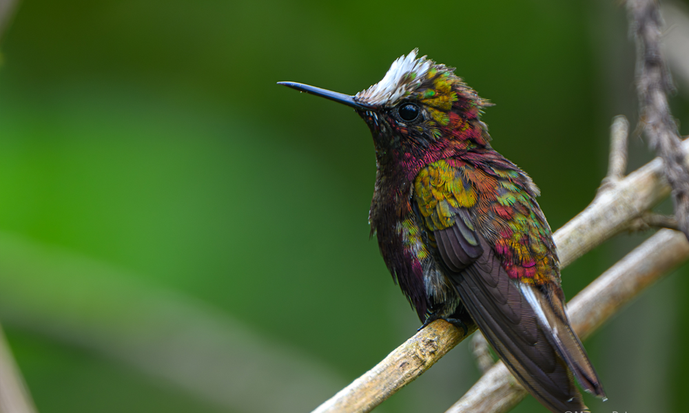 Can’t Wait to See You This Weekend