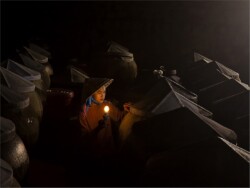 Inspection by Michael Tran (NIHCC): Other Category