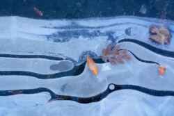 How Ice Melts by Suzy McIntire (NVPS): Water Category